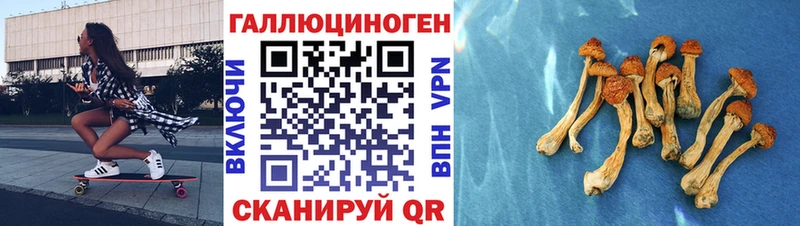 Псилоцибиновые грибы GOLDEN TEACHER  Волоколамск 